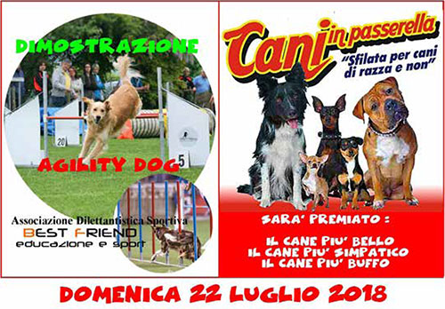 CANI IN PASSERELLA